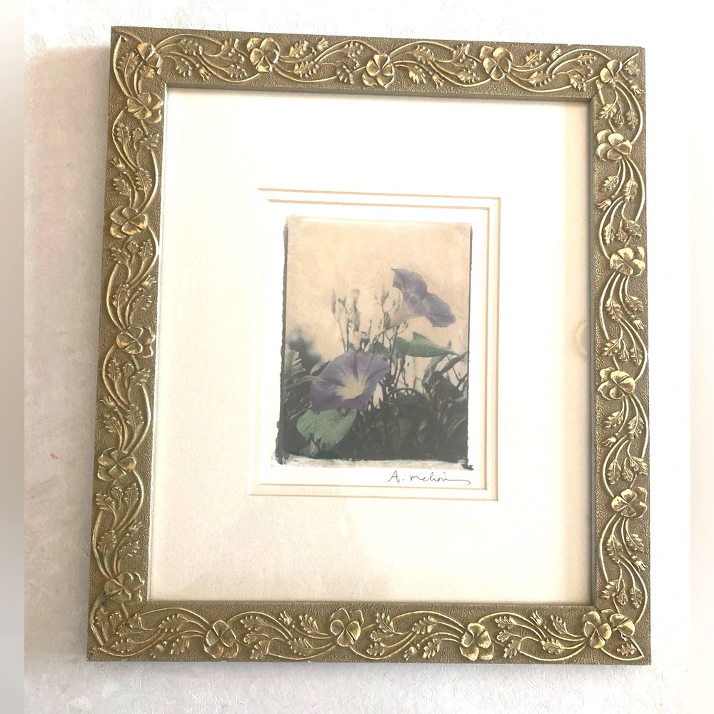 Pier 1 “Morning Glory” photo transfer